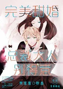 《完美甜婚:總裁大人別得意》
