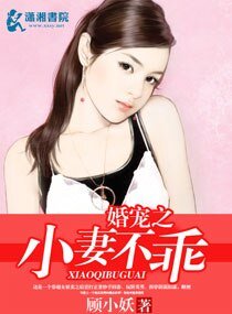 《婚寵之小妻不乖》