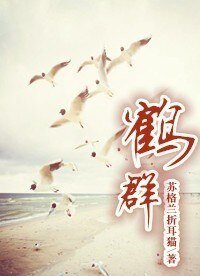 《鹤群》