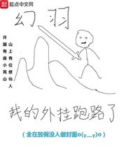 《我的外掛跑路了》