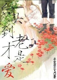《白頭到老才是愛》