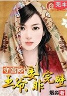 《守宮砂:王爺,妾非完璧》