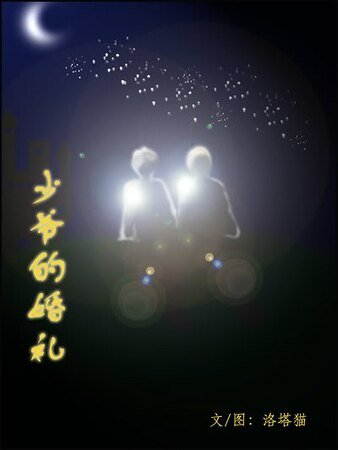 《少爺的婚禮》