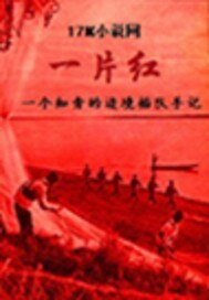 《邊境插隊手記》