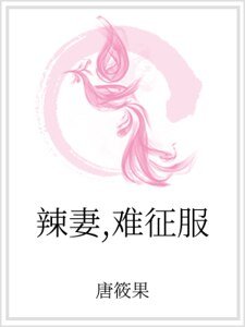 《辣妻,難征服》