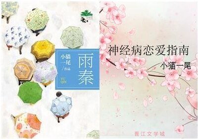 《雨秦/神经病恋爱指南》