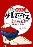 《妾本鸿妆:泻魅冷王冈冈宠》