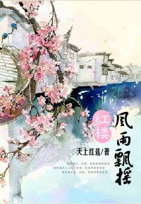 《(紅樓同人)紅樓之風雨飄搖/紅樓也有江湖》