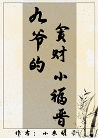 《九爷的贪财小福晋(清穿)》