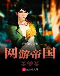 《网游帝国之崛起》