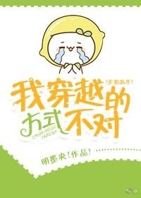 《(BG/全职高手同人)我穿越的方式不对》
