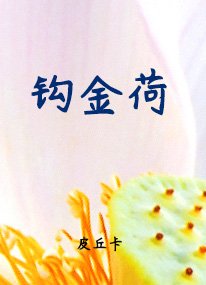 《鉤金荷》