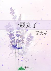 《一颗丸子》