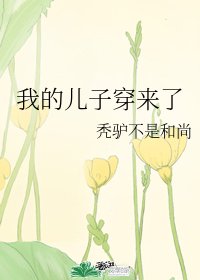 《我的儿子穿来了》