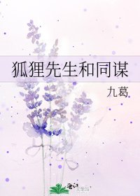 《狐狸先生和同謀》