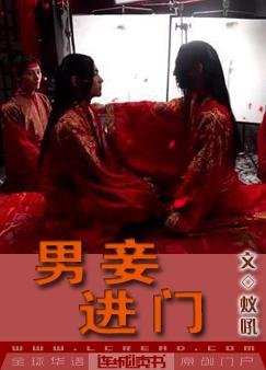 《男妾進門》