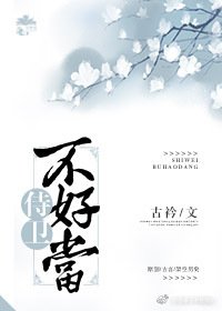 《侍衛不好當》
