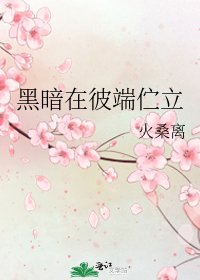 《黑暗在彼端佇立》