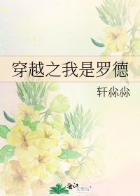 《穿越之我是羅德》