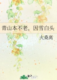 《青山本不老,因雪白頭》