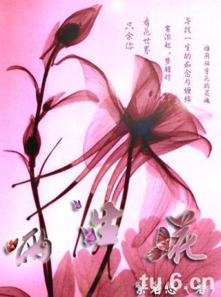 《兩生花》