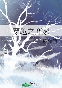 《穿越之齐家》