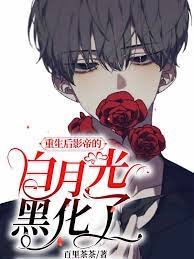 《重生后影帝的白月光黑化了》