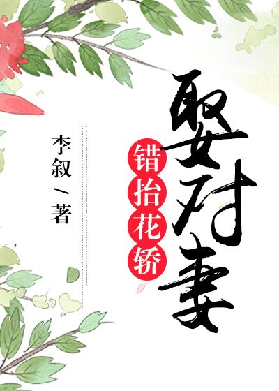 《错抬花轿娶对妻》