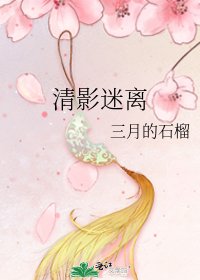 《清影迷离》