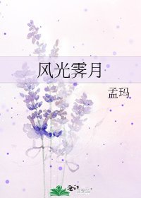 《風光霽月》