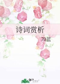 《诗词赏析》