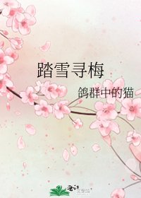 《踏雪尋梅》