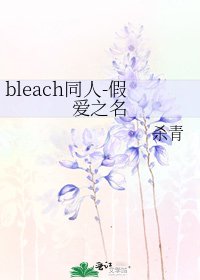 《bleach同人-假愛之名》