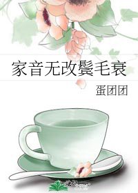 《家音无改鬓毛衰》