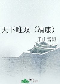 《天下唯双(靖康)》