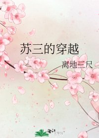 《苏三的穿越》