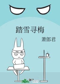 《踏雪寻梅》