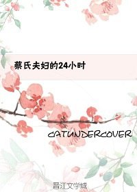 《蔡氏夫婦的24小時(破冰行動)》