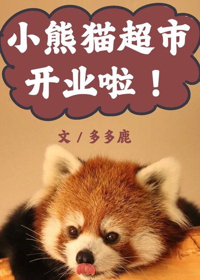 《小熊貓超市開業啦!》