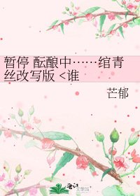 《暂停 酝酿中……绾青丝改写版》