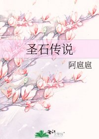 《圣石传说》