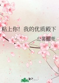 《粘上你!我的優質殿下》