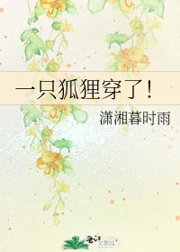 《一隻狐狸穿了!》