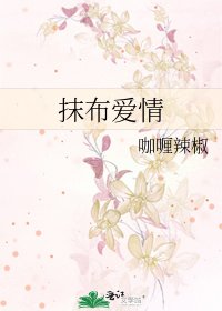 《抹布愛情》