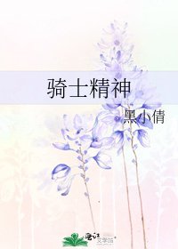 《騎士精神》