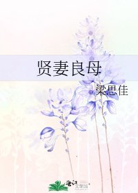 《賢妻良母》