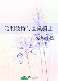 《哈利波特與圓桌騎士》