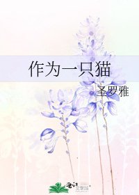 《作为一只猫》