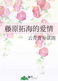 藤原拓海的愛情
