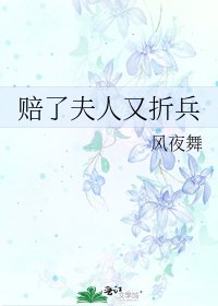 《賠了夫人又折兵》